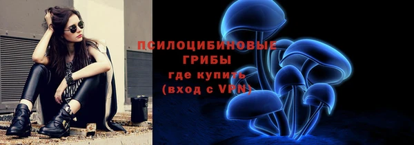 бутират Щёлкино