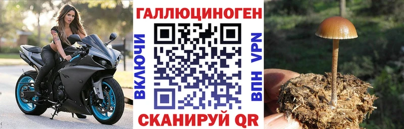Псилоцибиновые грибы Psilocybine cubensis  hydra маркетплейс  Анива 